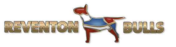 Psy logo